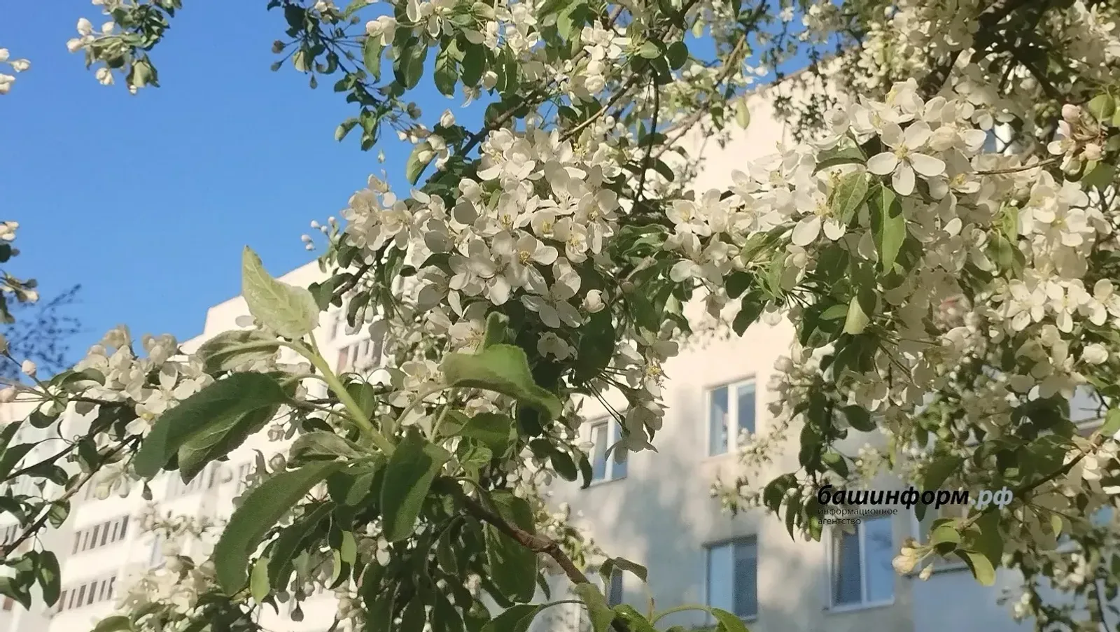 Республикаға ямғырҙар һәм һалҡындар килә