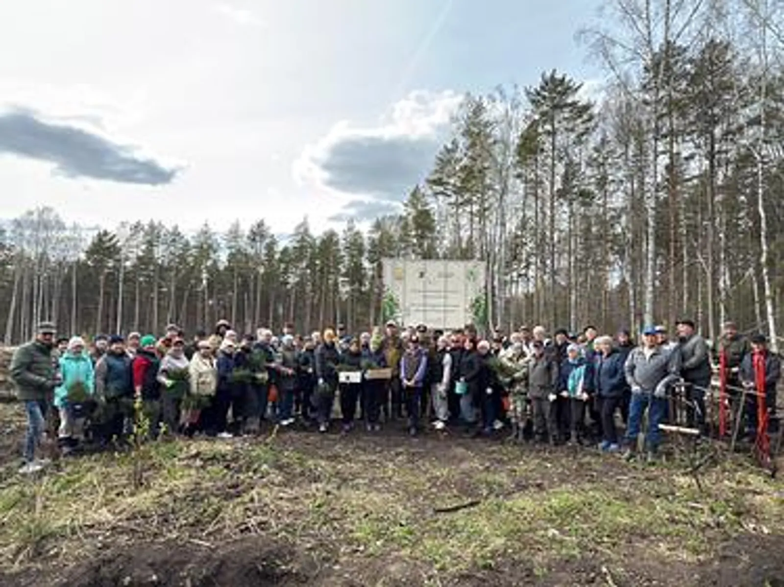 В Караидельском районе высадили 9 тысяч саженцев сосны