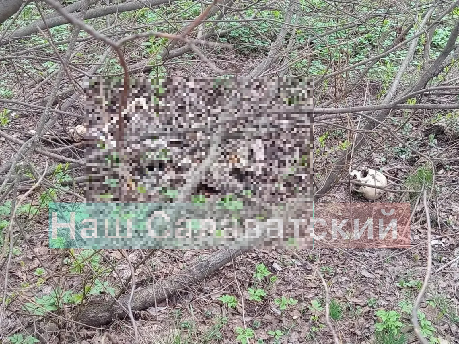 В Салаватском районе Башкирии обнаружен скелетированный труп