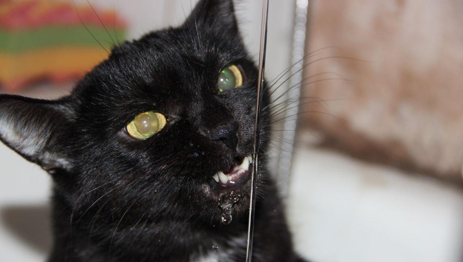 Республикала торлаҡ-коммуналь хеҙмәттәргә хаҡтар үҙгәрә