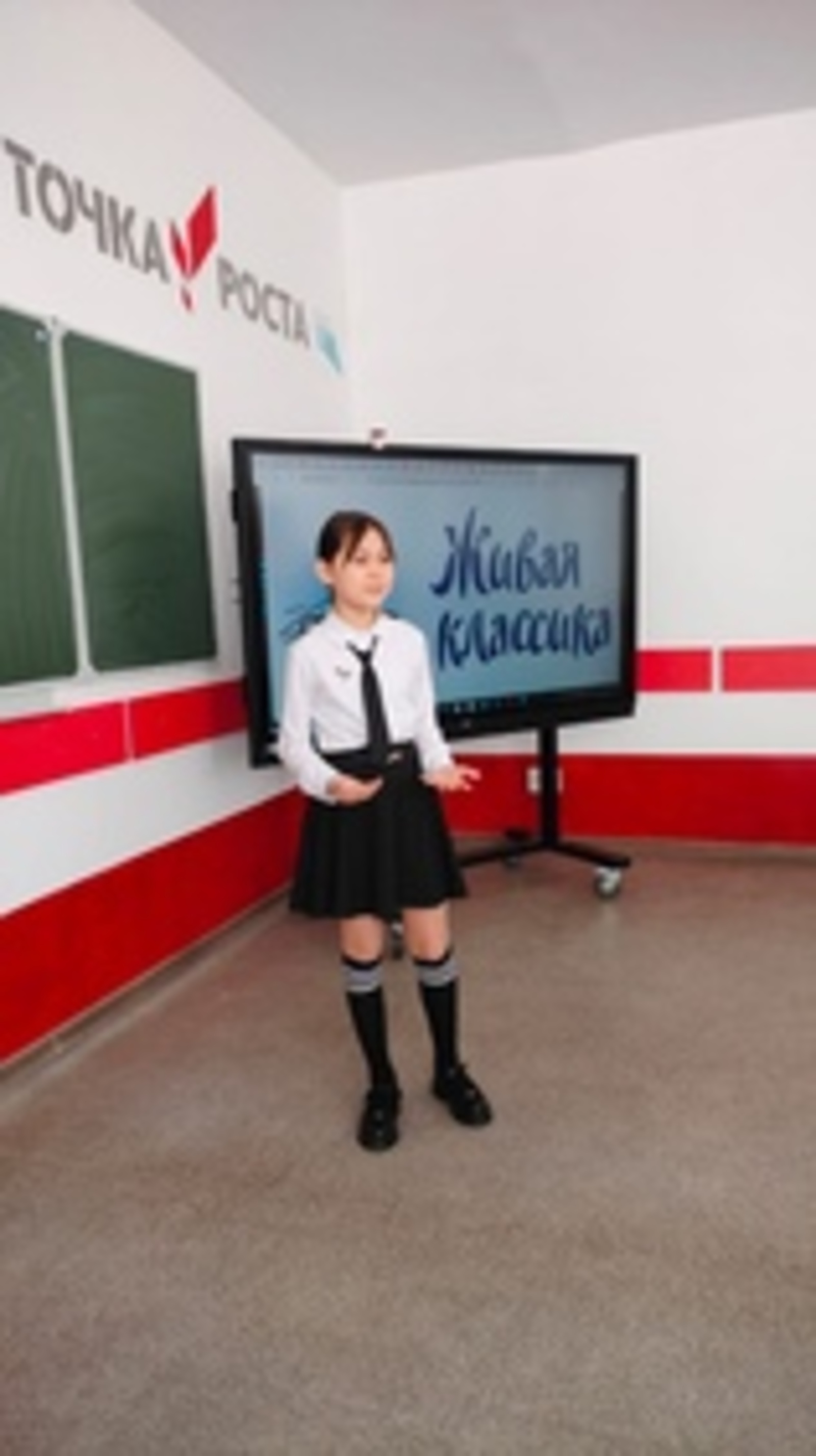 Школьники Абзелиловского района показали знания литературы и поэзии на конкурсе «Живая классика»