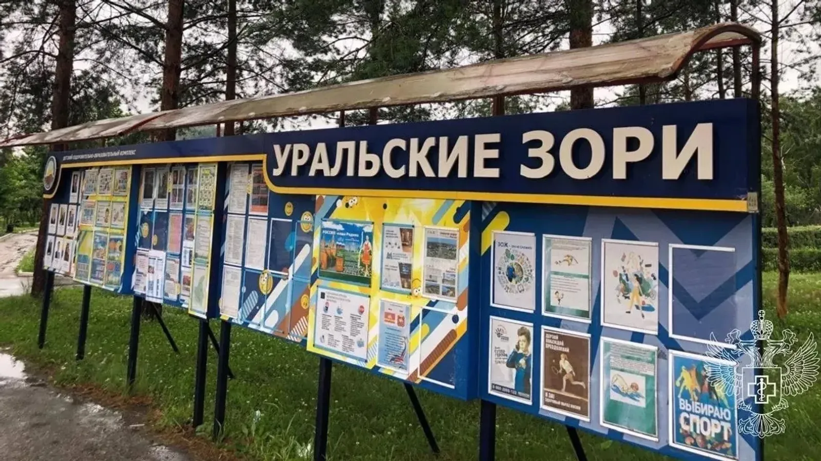 Следователи СК Башкирии занялись инцидентом с отравлением челябинских детей