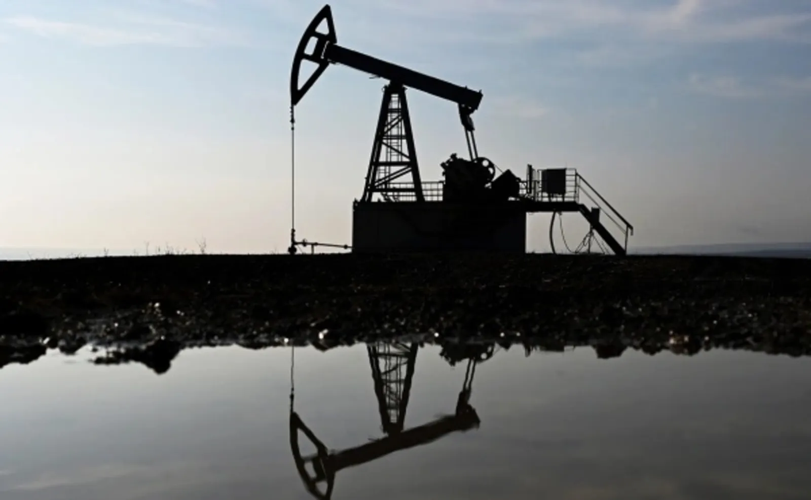 Путин сообщил об открытии 276 месторождений твердых ископаемых за год