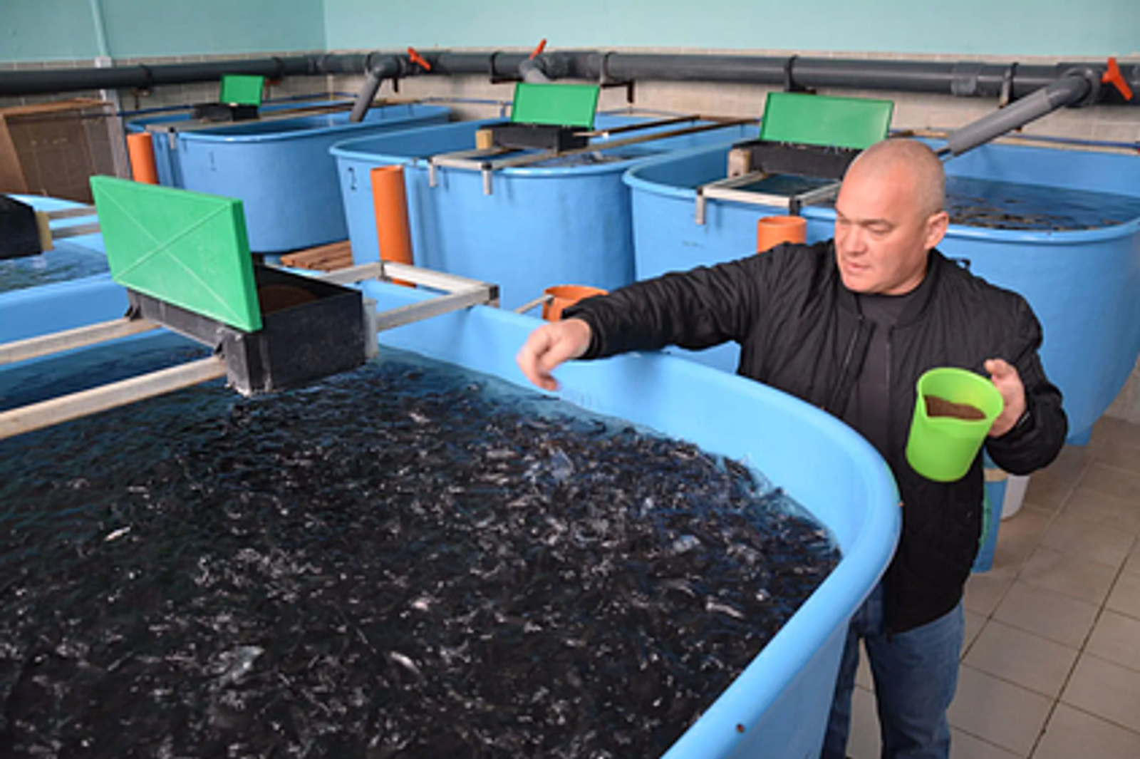 В Кармановском рыбхозе выращивают элитную рыбу благодаря нацпроекту