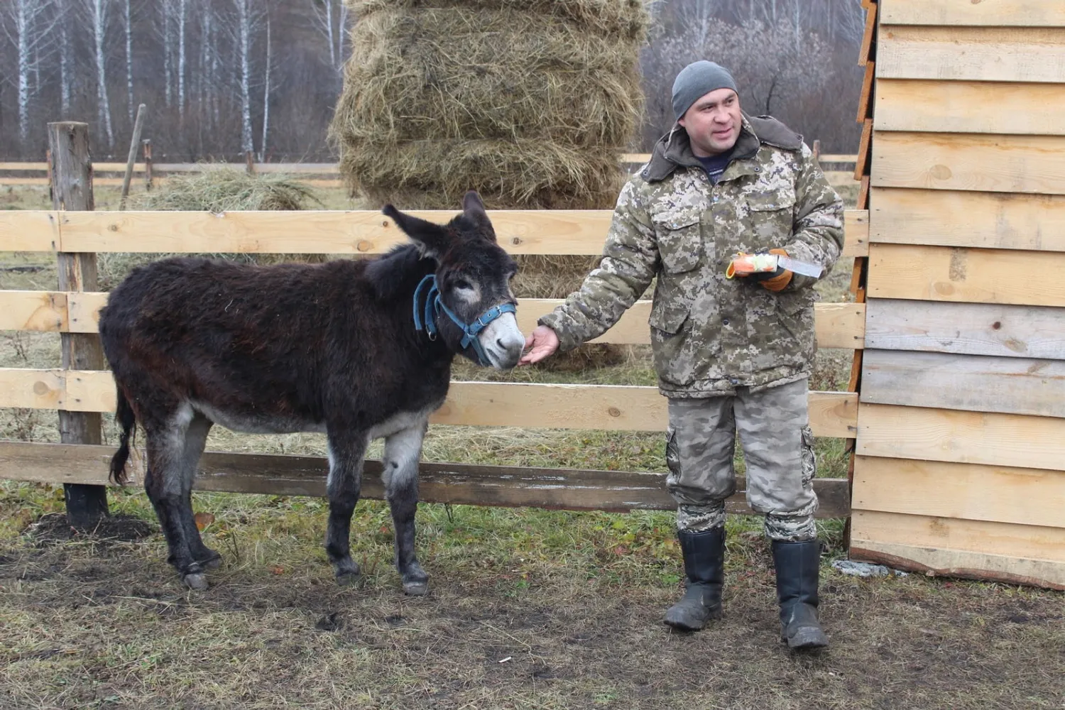 Фото: Айдар Нугаманов