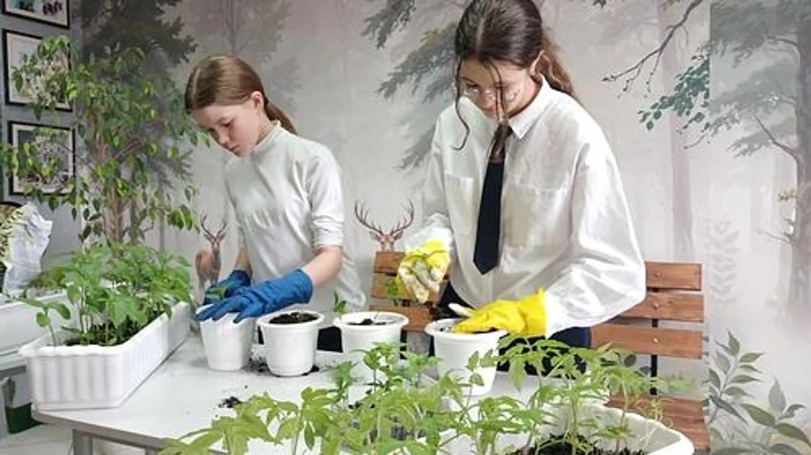 Ученики агрокласса в Бураевском районе продемонстрировали практические навыки