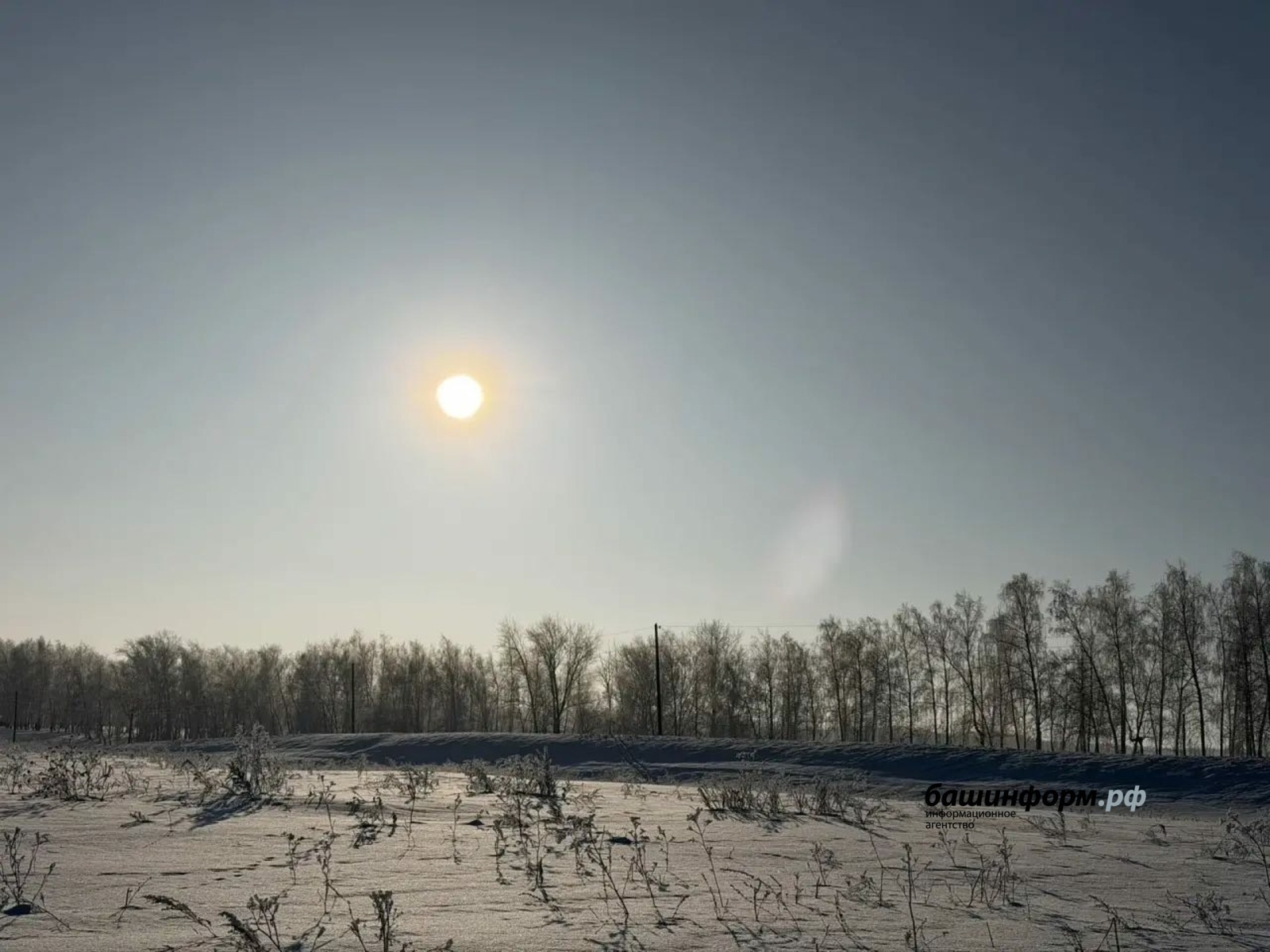 Республикала көндәр йылыта