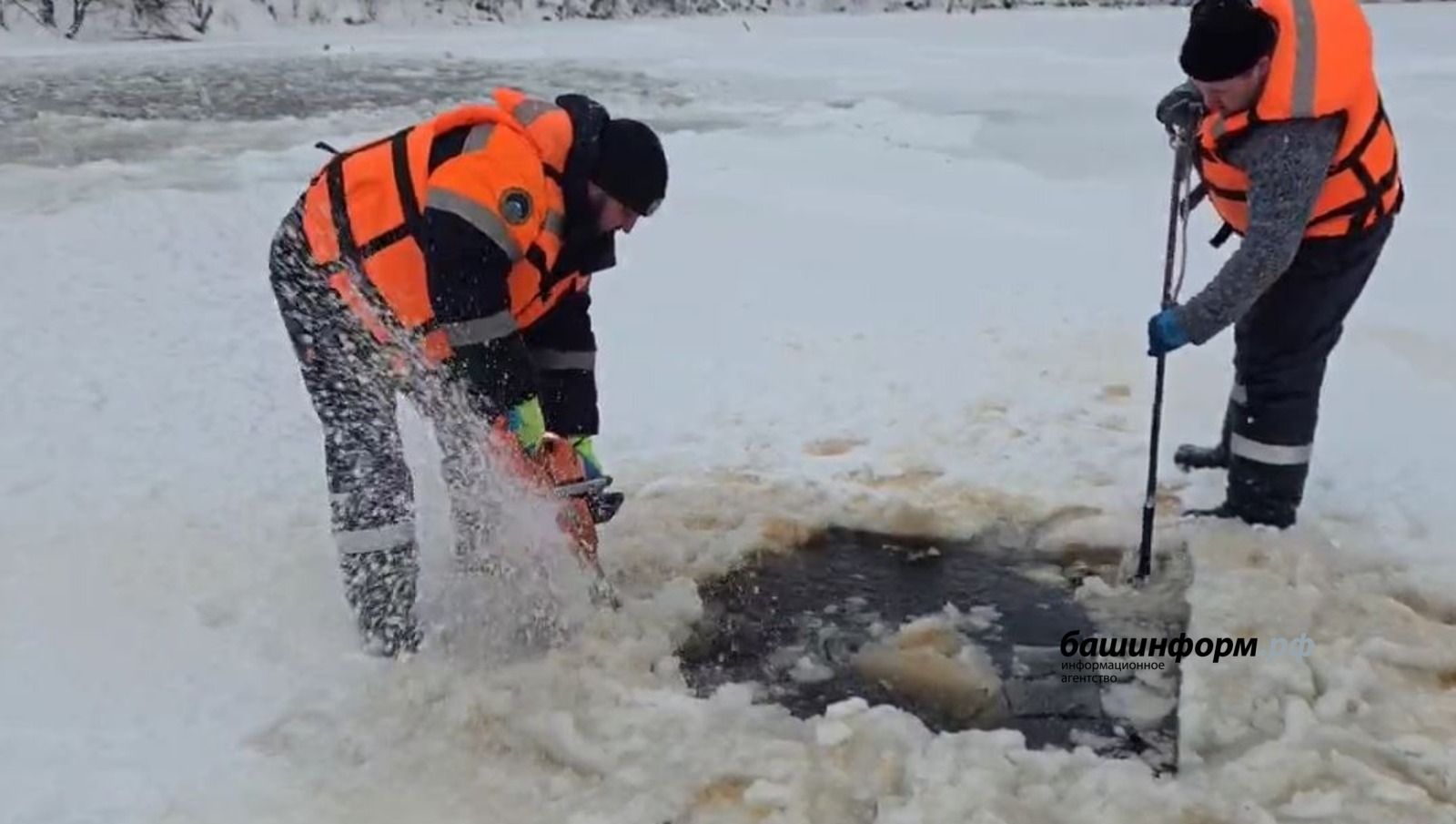 Что стало с тушами выловленных из озера в Башкирии овец