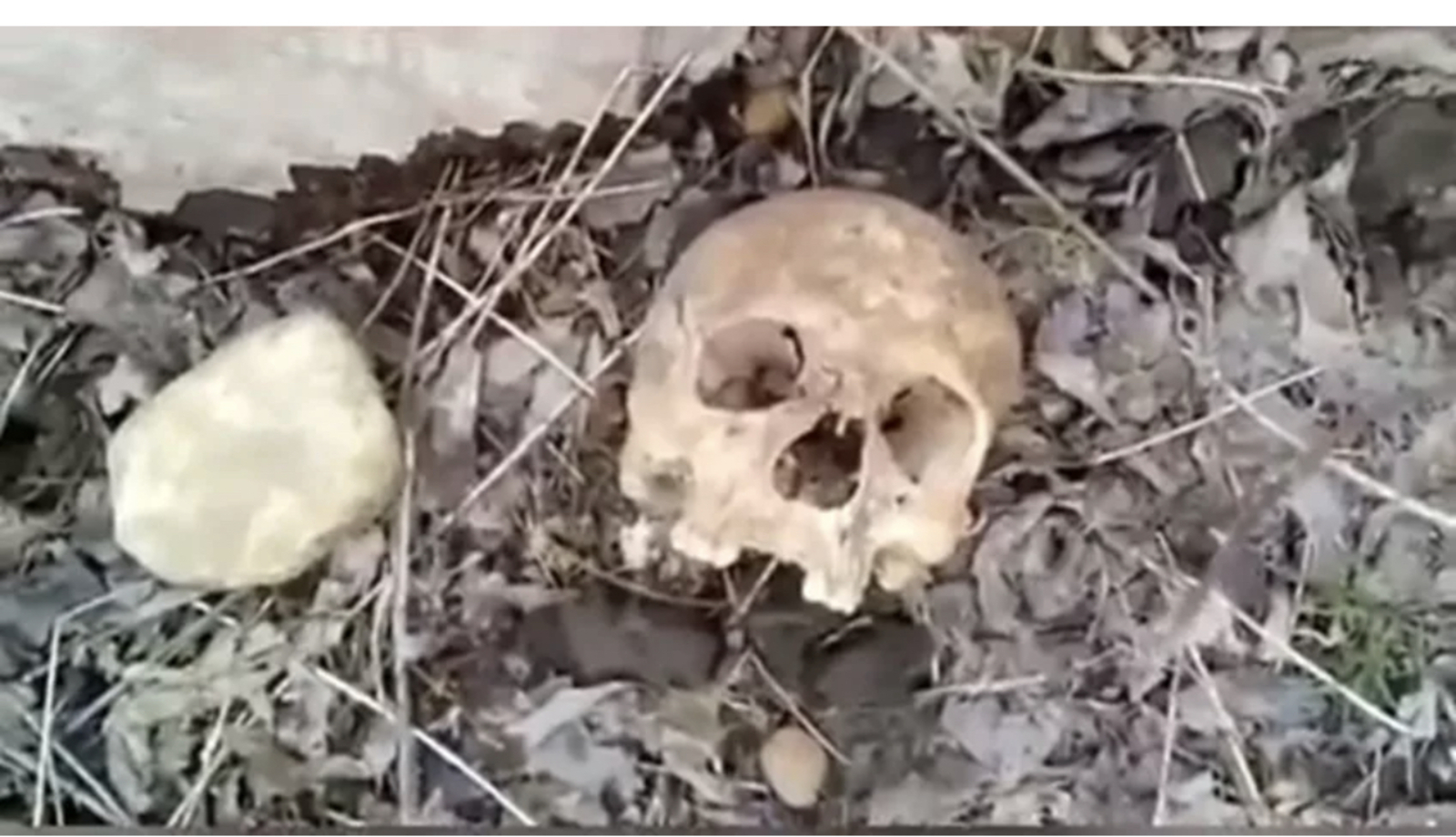 В поле в Салаватском районе Башкирии нашли человеческие останки