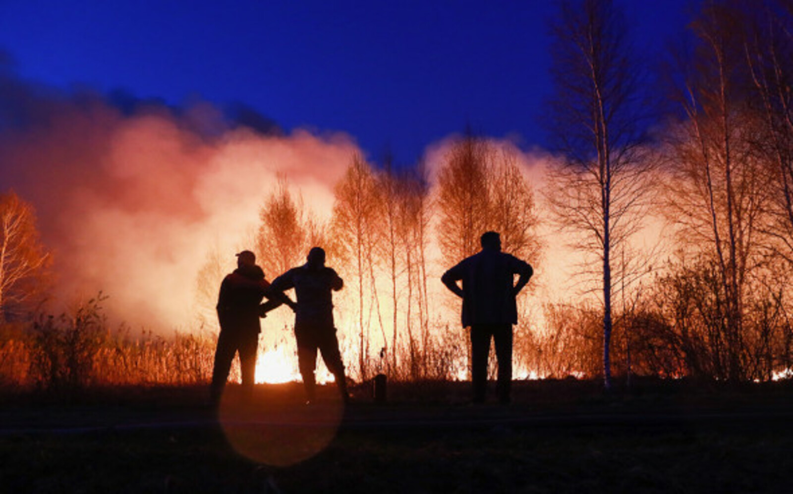 Путин заявил о значительном ущербе от природных пожаров в этом году