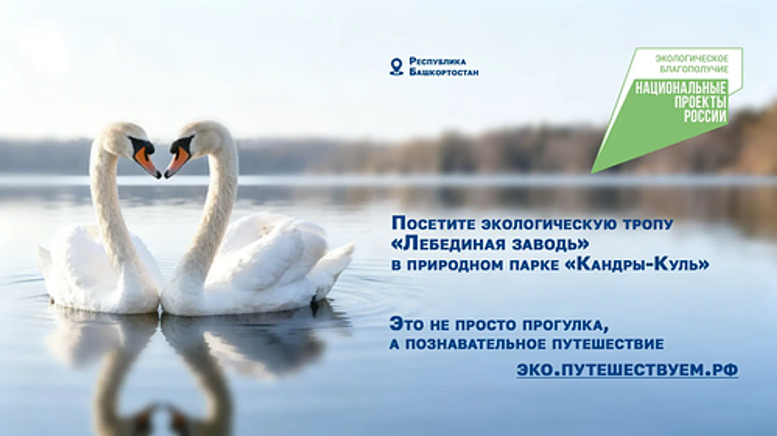 Благодаря нацпроекту более 880 туристов посетили экотропу «Лебединая заводь»