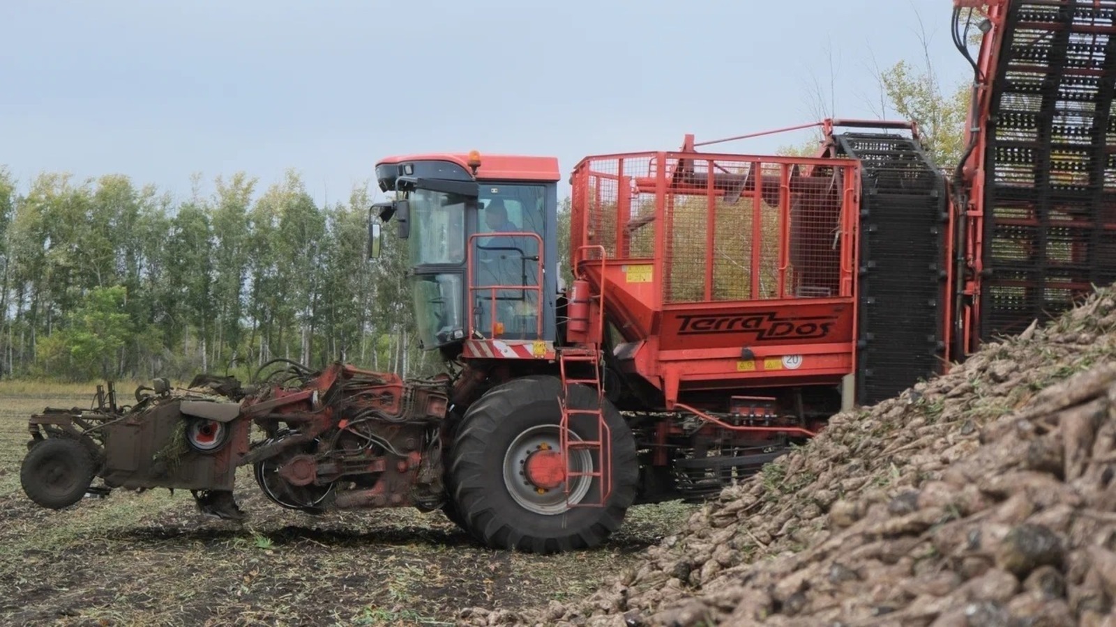 Радий Хабиров поделился цифрами по уборке в Башкирии сахарной свеклы