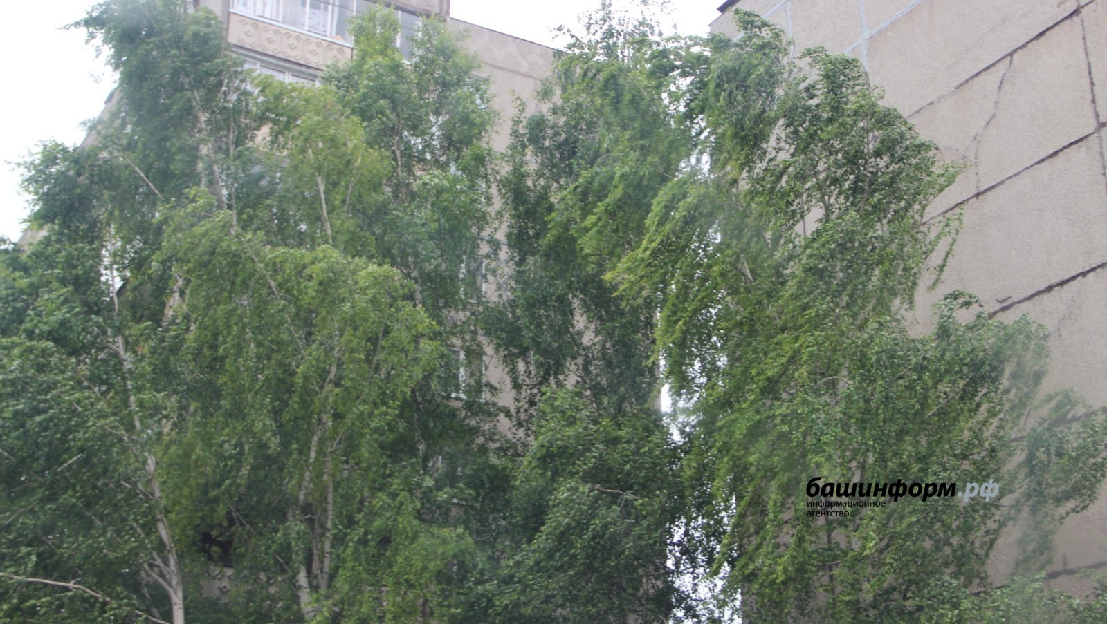 МЧС по Башкирии объявило штормовое предупреждение